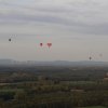 IMG_2239